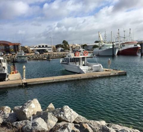 Port Lincoln Shark Apartment 3 ภายนอก รูปภาพ